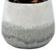 Uttermost® Veranda Aged White/Blue Gray Indoor-Outdoor Aloe Accent-1