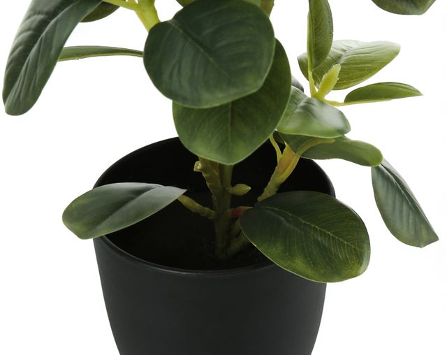 Monarch Specialties Inc. 2-Piece Black 14" Tall Artificial Potted Ficus-1