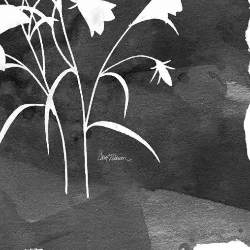 Classy Art Black/White Botanical II by Carol Robinson Wall Art-1