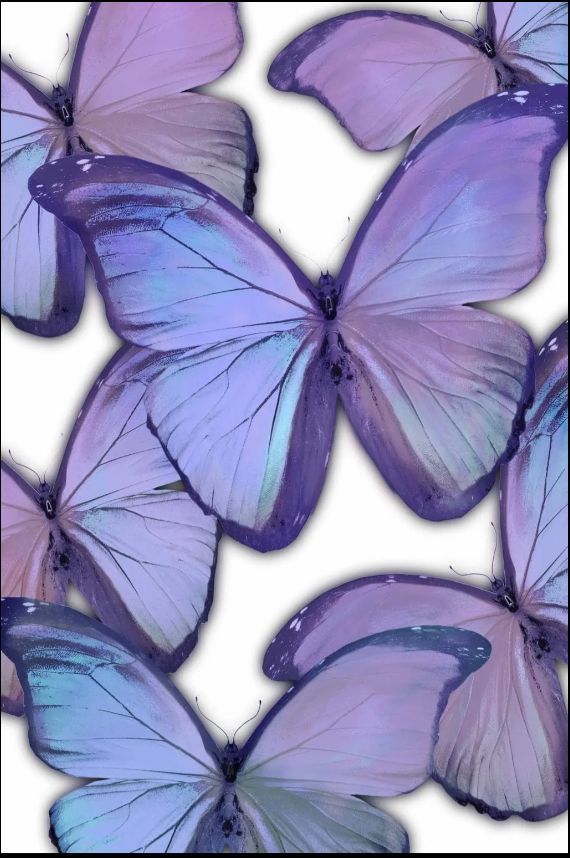 Classy Art Style 5 Gallery Wrapped Giclee on Canvas Wall Art-0
