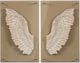 A & B Home 2-Piece White Washed Wood Carved Wing Wall Art-0
