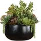 Uttermost® Mico Black/Green Succulent Centerpiece-4