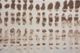 Renwil® Ariella Brown/Cream 10'2" x 7'10" Rug-1