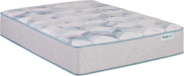 Beautysleep® Dream Weaver™ 13.75" Pocketed Coil Plush Quilted Tight Top Twin Mattress-0