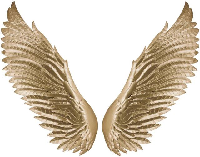 Classy Art Style 6 Gold Wall Decor-0