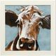 Stylecraft Mabel Brown/Blue Wall Art-0