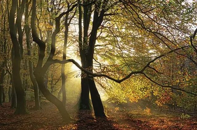 Classy Art Share This Dance with Me by Lars Van De Goor Wall Art-0