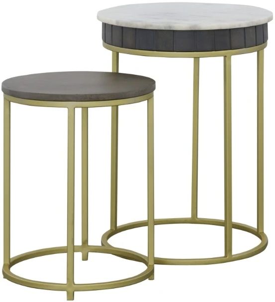 Coast2Coast Home™ Cameron Park 2-Piece Nolan Gray Nesting End Table with Gold Base Set-0