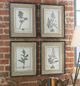 Uttermost® 4-Piece Casual Gray Study Framed Prints Set-1