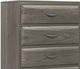 Signature Design by Ashley® Triscanna Gray Chest-1