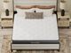 Valleydale Plush King Mattress-1