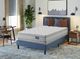 Serta® Perfect Sleeper® Hotel Congressional Suite Supreme 12.5" Wrapped Coil Plush Euro Pillow Top Double-Sided Queen Mattress-1