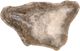 Dovetail Furniture Orvan Natural Bowl-4