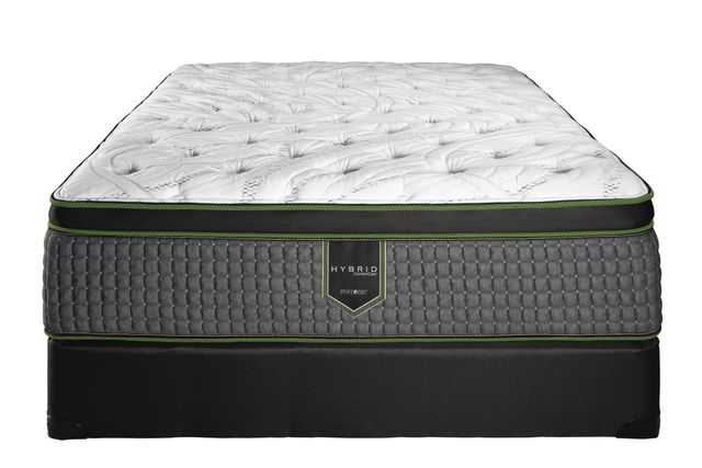 Spring Air® Kettering Hybrid Back Supporter™ 14.5" Plush Euro Top Full Mattress-2
