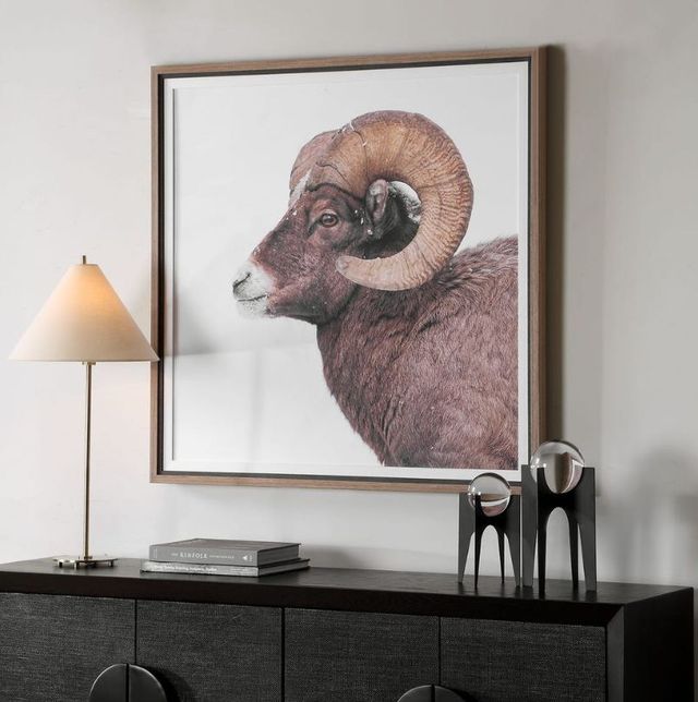 Uttermost® Big Horn Sheep Framed Print-2