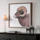 Uttermost® Big Horn Sheep Framed Print-2