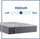 Sealy® Posturepedic® Plus Opportune II 13" Innerspring Medium Tight Top Queen Mattress-4