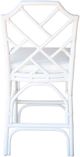 New Pacific Direct Kara White Rattan Counter Stool-3