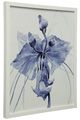 Stylecraft Blue/White Wall Art-0