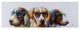 YHD Cool Dogs Wall Art-0