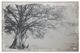 A & B Home Arboreal Cream/Charcoal Shelter Wall Art-0