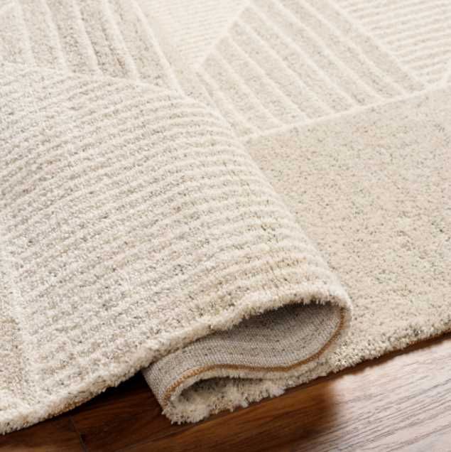 Surya Gavic Beige/White 4'x6' Area Rug-4