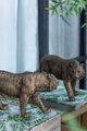 A & B Home Copper Tiger-5