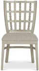 Currey & Company Norene Fog Gray Dining Side Chair-1