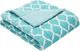 Olliix by Madison Park Oversized Ogee Aqua Down Alternative Throw-0