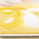 Kalora Interiors Belle 5'x8' Style 4 Area Rug-1