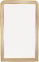 Zeugma Imports Champagne and Gold Mirror-0