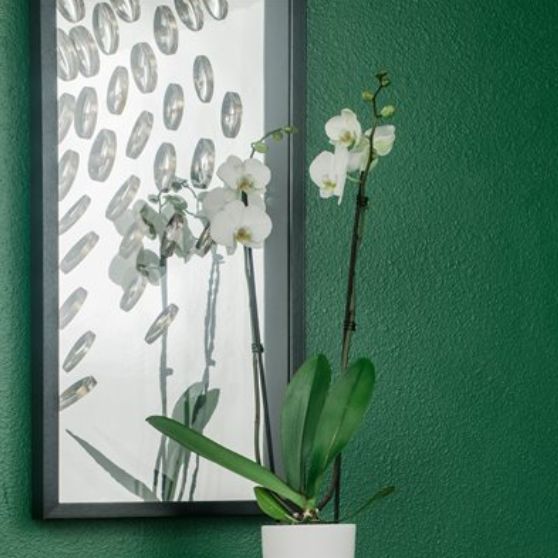 YHD Halcyon's Culture 3-Piece Wall Art Set-3