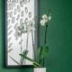YHD Halcyon's Culture 3-Piece Wall Art Set-3