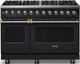 Viking® 5 Series 48" Onyx Pro Style Dual Fuel (LP) Range with Brushed Brass Trim-0