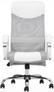 EQ3 Lotus Black White Chair-1