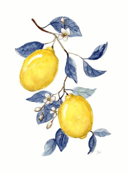 Classy Art Odyssey Lemons II by Nan Wall Art-0
