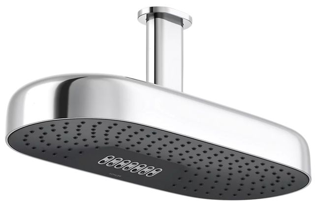 KOHLER® Statement® Polished Chrome 2.5 GPM Oblong 18" 2-Function Rainhead-0