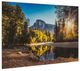 YHD Morning in Paradise Wall Art-2