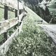 YHD Valley Path Framed Print-4