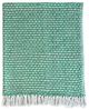A & B Home Green/White Decorative Throw Blanket-1
