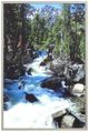 YHD Eagle Falls Wall Art-0
