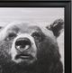 Stylecraft Bear Portrait II Wall Art-1
