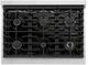 ZLINE Marino 36" Stainless Steel Pro Style Gas Range with 6-Burner and Polished Gold Accents-4