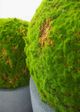 Le Present Moss Green 16" Faux Botanical Ball-2