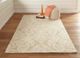 Feizy Belfort Ivory/Taupe 5' x 8' Rug-5