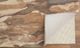 Feizy Amira Brown 5' x 8' Rug-4