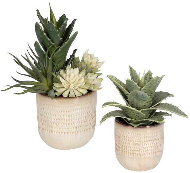 Uttermost® Seaside 2-Piece Neutral Tan Succulents Set-2