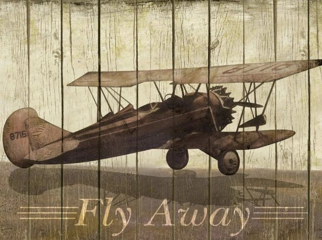 Classy Art Fly Away by Merri Pattinian Wall Art-0
