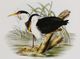 Stylecraft Waterbird Pairing II Beige/Black/Green/Light Yellow/White Wall Art-1