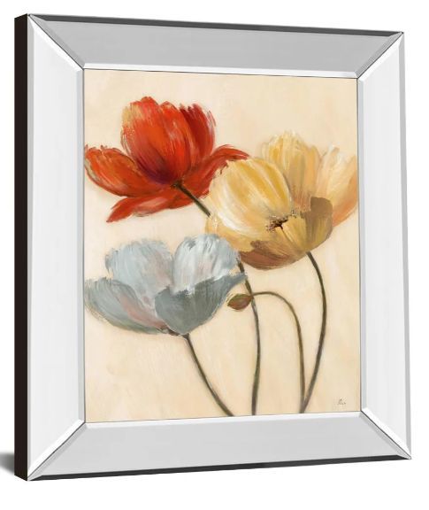 Classy Art Poppy Palette Il by Nan Mirror Framed Wall Art-1
